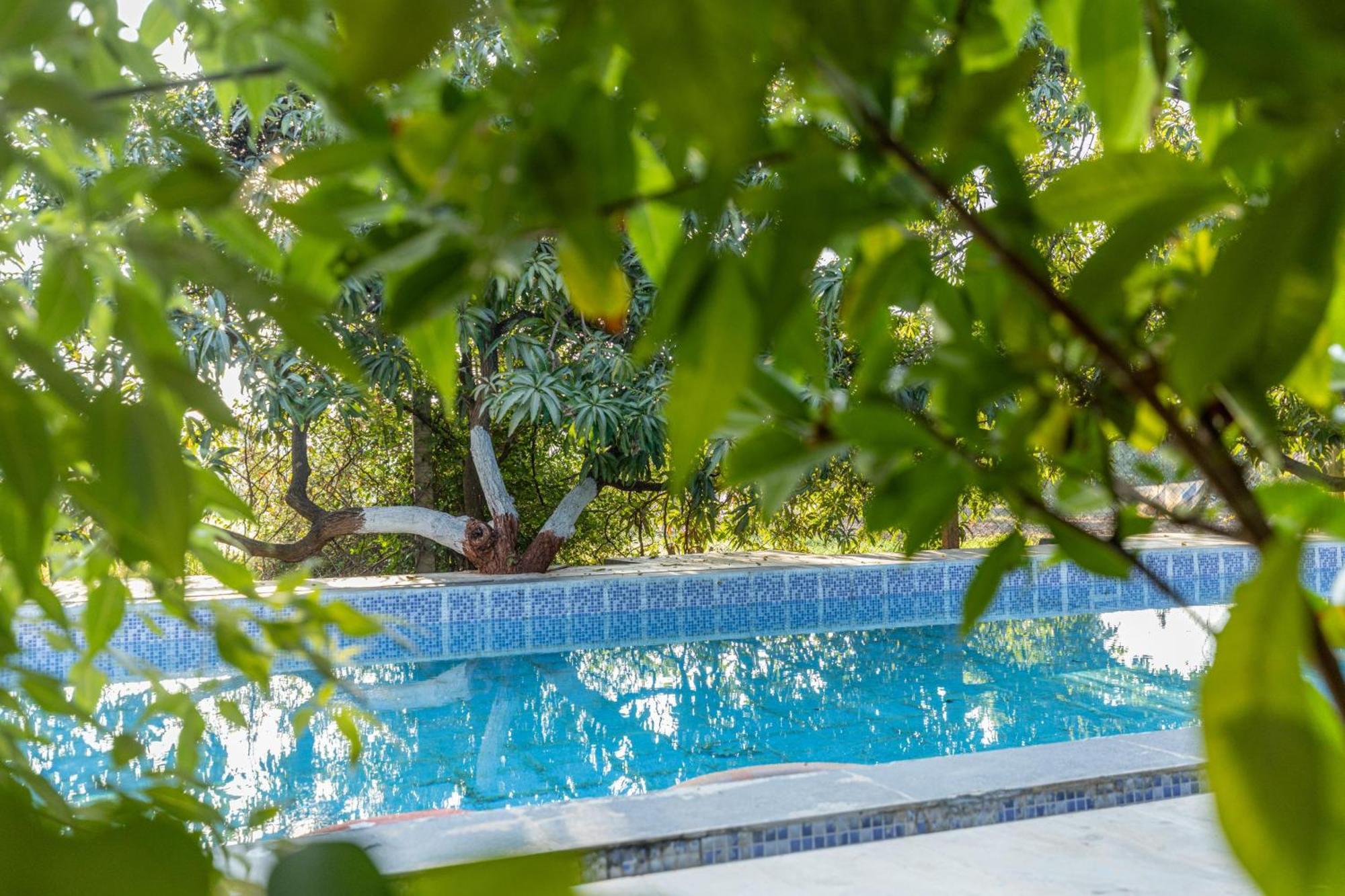 Gir County Resort Sasan Gir Exterior foto